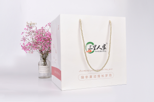 手提袋設計